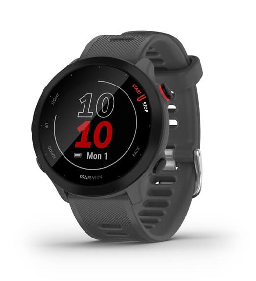 Garmin Forerunner 55 GPS Running Watch - Gray
