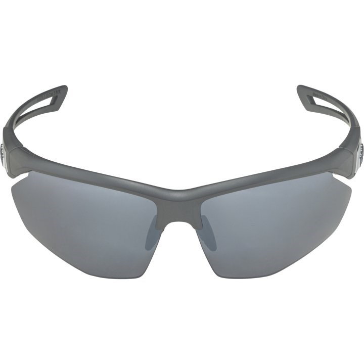Alpina Nylos HR Sunglasses Cat. 3 Grey