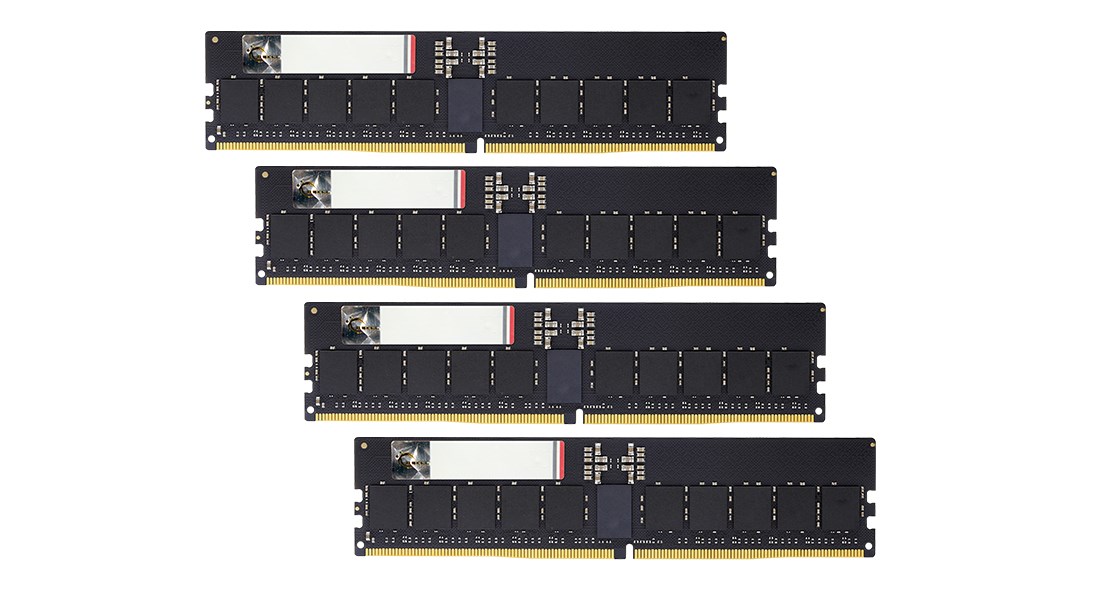 G.Skill Aegis 5 F5-6400R3239G16GQ4-G5N memory module 64 GB 4 x 16 GB DDR5 6400 MT/s 288-pin DIMM ECC