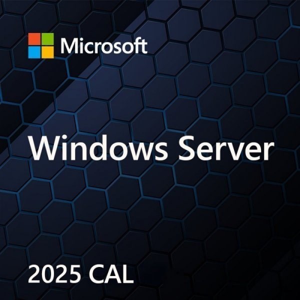 Microsoft Windows Server CAL 2025 1 license(s)