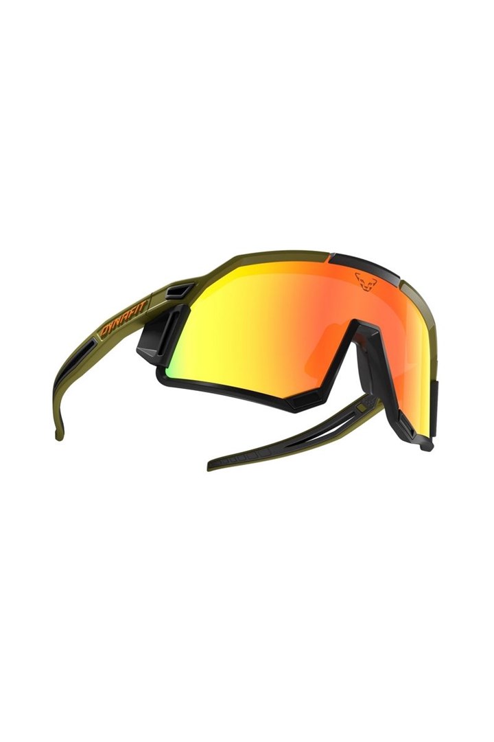DYNAFIT Glasses Sky Evo-Winter Moss-Dawn