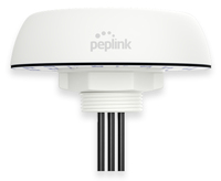 Peplink Mobility 20G network antenna MIMO directional antenna QMA 6.1 dBi
