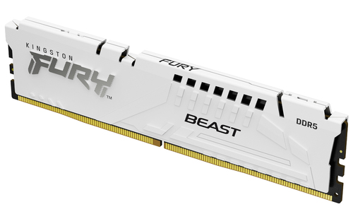 Kingston Fury Beast White 16GB DDR5-5600 CL36 Memory