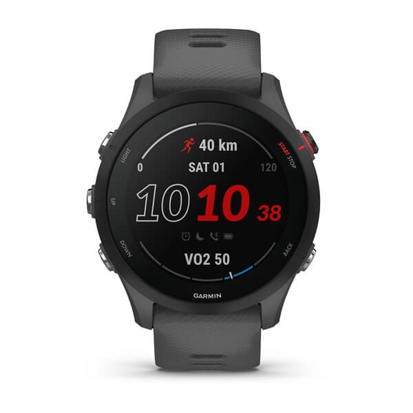 Garmin Forerunner 255 GPS Smartwatch (46mm, Gray)
