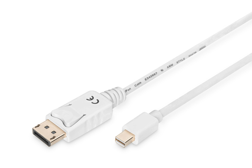 DisplayPort Connection Cable