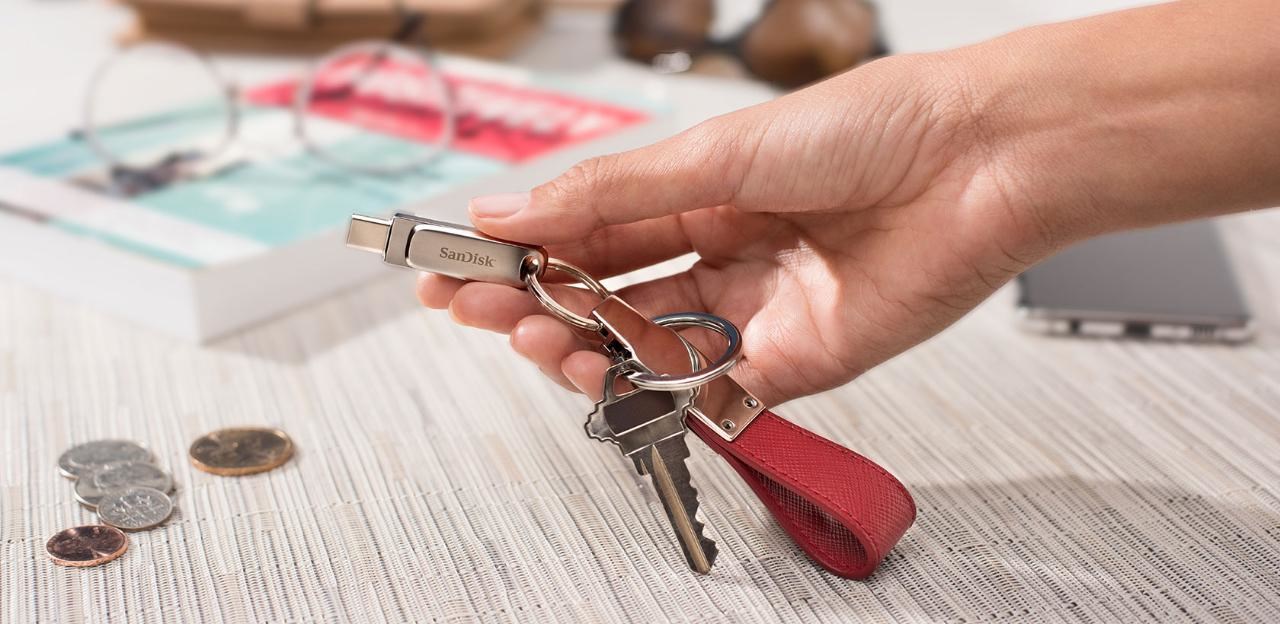 SanDisk Ultra Dual Drive Luxe USB flash drive 256 GB USB Type-A / USB Type-C 3.2 Gen 1 (3.1 Gen 1) Stainless steel