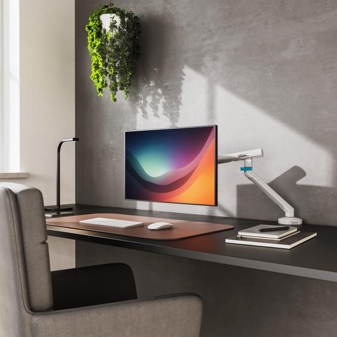 Digitus Single design monitor mount, 35", 10 kg