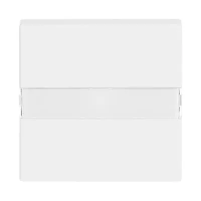 BUSCH JAEGER BJ 1764 NLI-84 Abdeck.M.Beschriftungs Feld U.Lichtleiter Future Linear Sws
