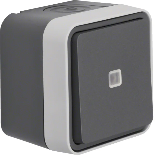 WNC003 Kontroll-Wechselschalter AP, W.1 IP55, Grey