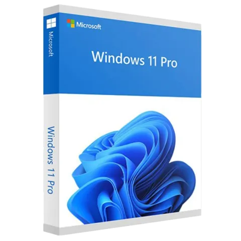 Microsoft Windows 11 Pro 1 license(s)