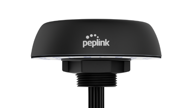 Peplink Mobility 40G network antenna MIMO directional antenna SMA 7 dBi