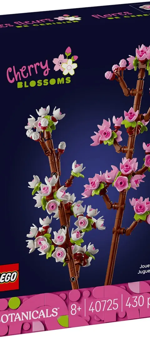 LEGO Iconic KirschblüTen 40725