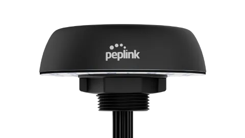 Peplink Mobility 42G network antenna MIMO directional antenna SMA 8.2 dBi