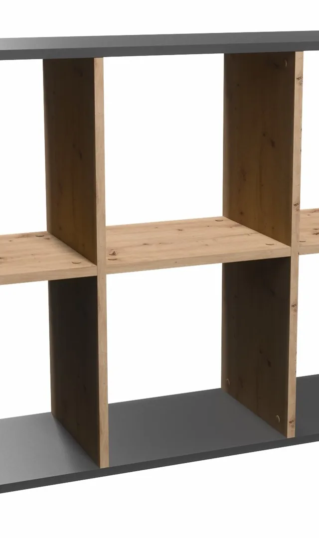 Topeshop MALAX 2X3 ANT/ART Living Room Bookcase