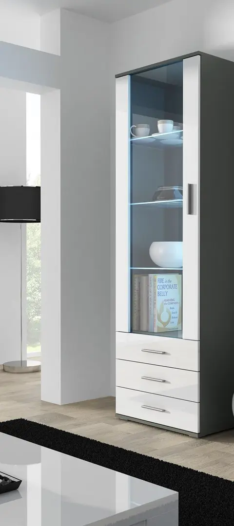 Cama Display Cabinet SOHO S1 Grey/White Gloss