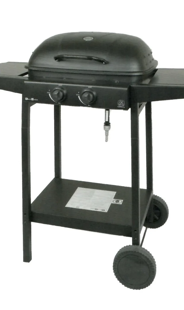 Master Gas Grill 2-Burner MG672
