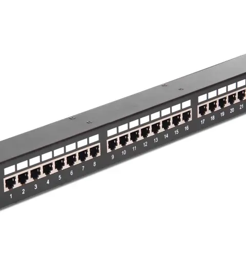 DELOCK Network 48.26cm 19Zoll Kupplungs-Patchpanel 24 Port Cat.6