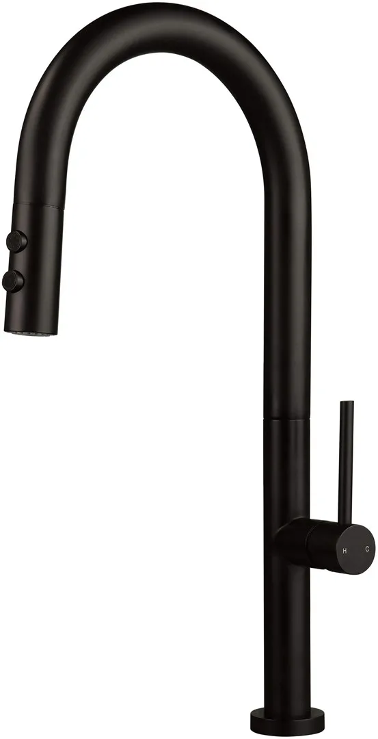 Kitchen Faucet With Pull-Out Spout - 2 Types Of Spray