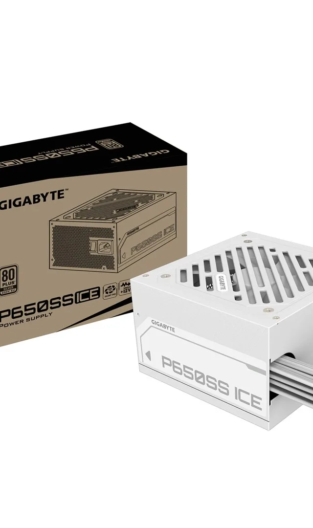 GP-P650SS ICE