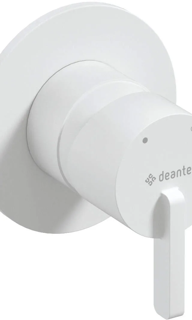 Concealed Shower Mixer Without Shower Switch