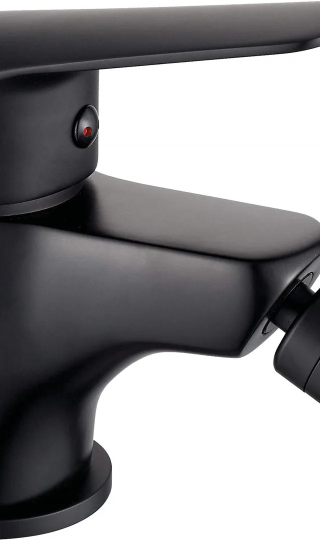 Bidet Faucet
