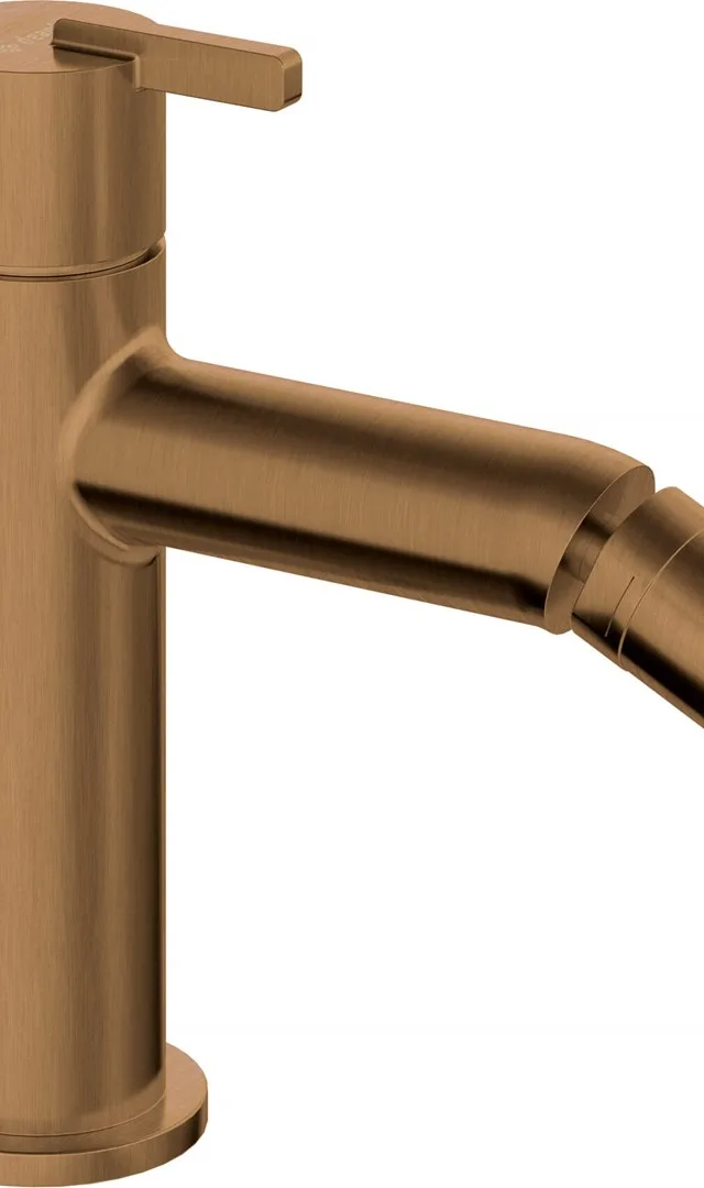 Bidet Faucet
