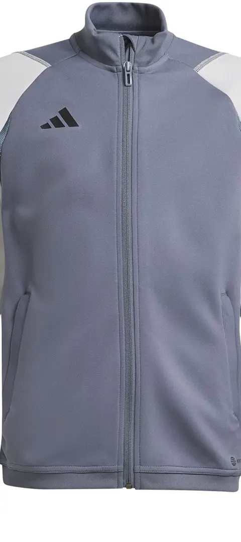 adidas Tiro 23 Competition Training Sweatshirt grey HP1909