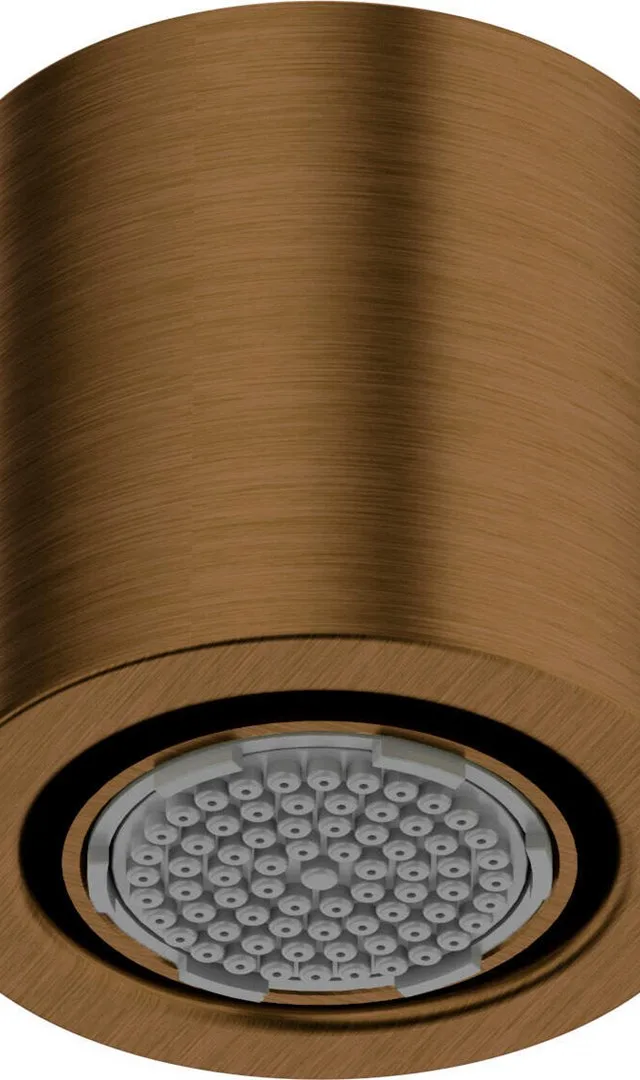 Function Shower Head 1-