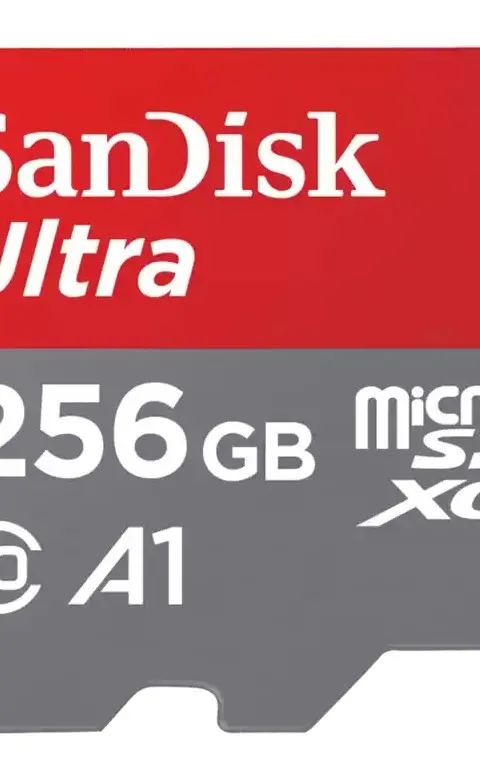 SanDisk Ultra 256 GB MicroSDXC UHS-I Class 10