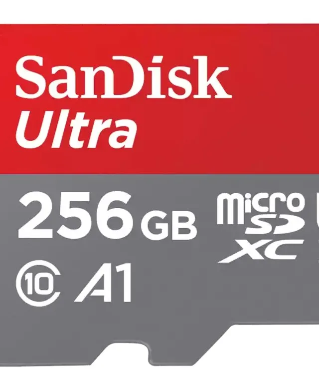 SanDisk Ultra 256 GB MicroSDXC UHS-I Class 10