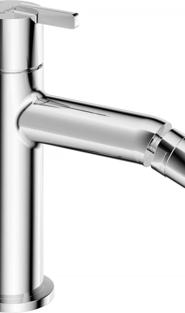 Bidet Faucet