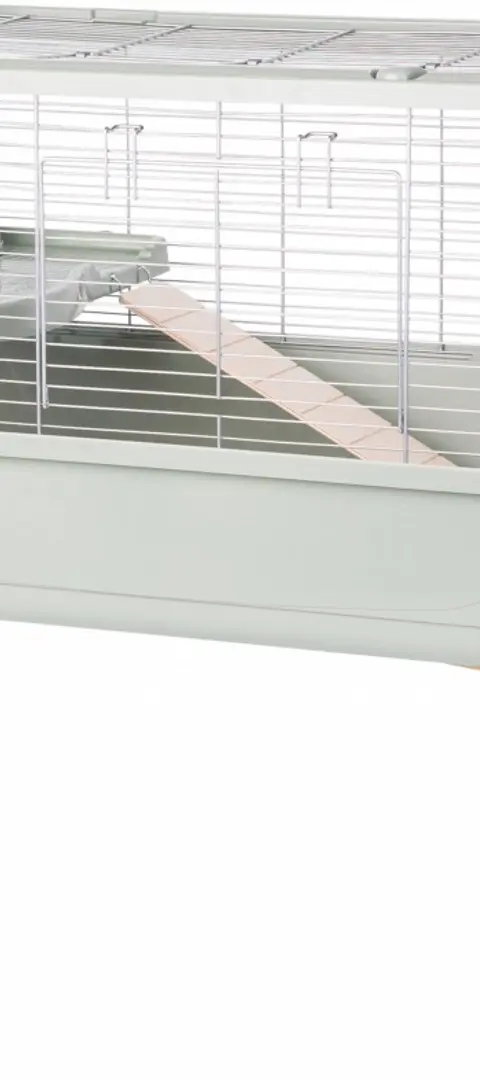 ZOLUX Neolife 100 Green - Cage For Domestic Cavia