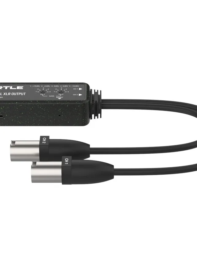 Turtle 2CH Analog XLR Output Dante Adapter - Adapter Dante