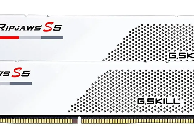 G.Skill F5-6000J3036F24GX2-RS5W memory module 48 GB 2 x 24 GB DDR5 5600 MT/s 288-pin DIMM