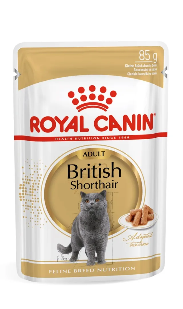 ROYAL CANIN British Shorthair Packet 12x85g