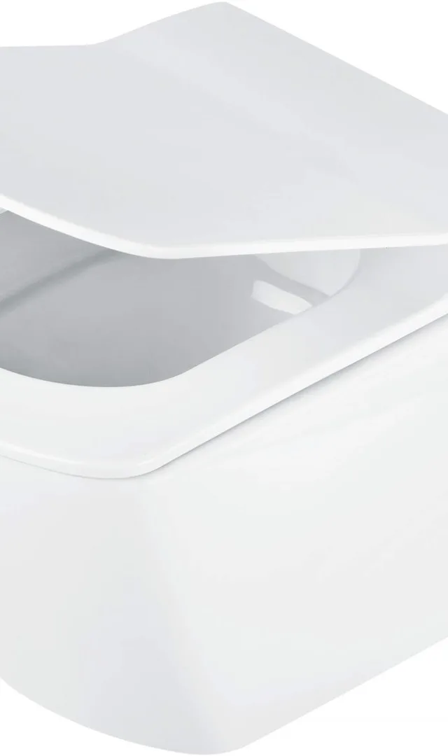 Rimless Wall-Hung Toilet