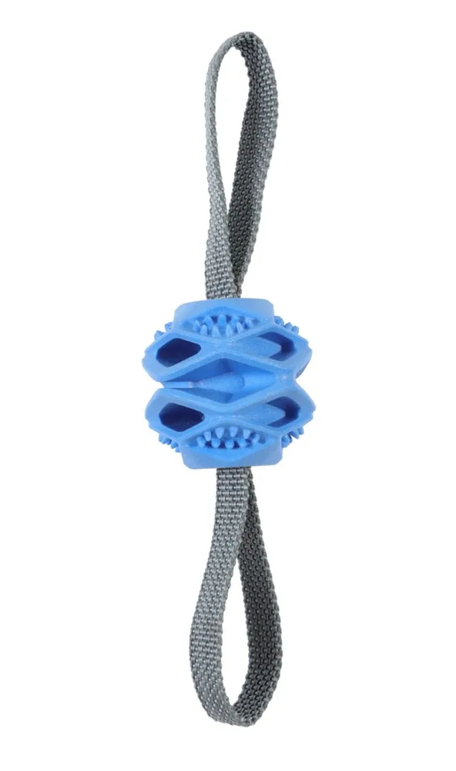 ZOLUX Ball TPR Outdoor Blue - Dog Toy