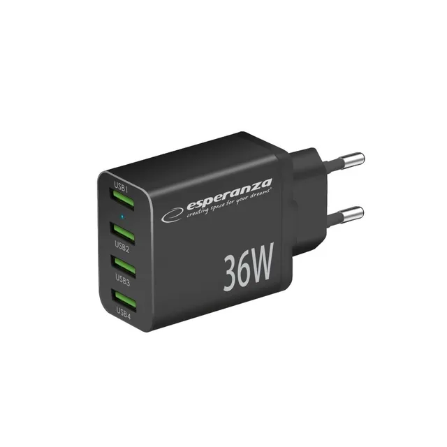 Esperanza EZC107K Mains Charger 36W Black
