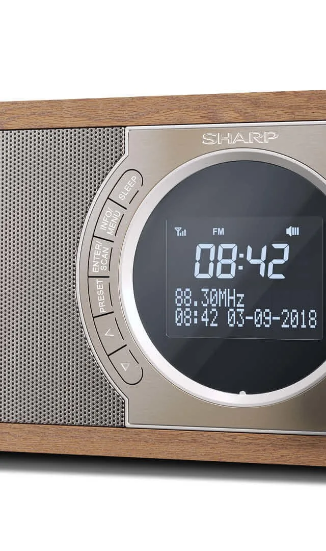 Sharp DR-450 Personal Digital Brown, Stainless steel