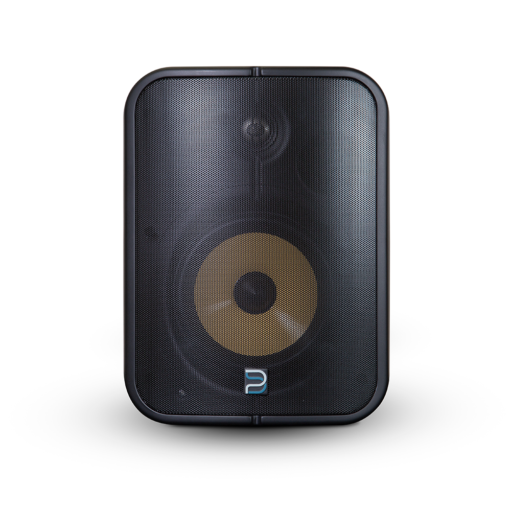 Bluesound Professional BSP1000B Network Streaming Speaker (PoE PoE ) IP65 Black