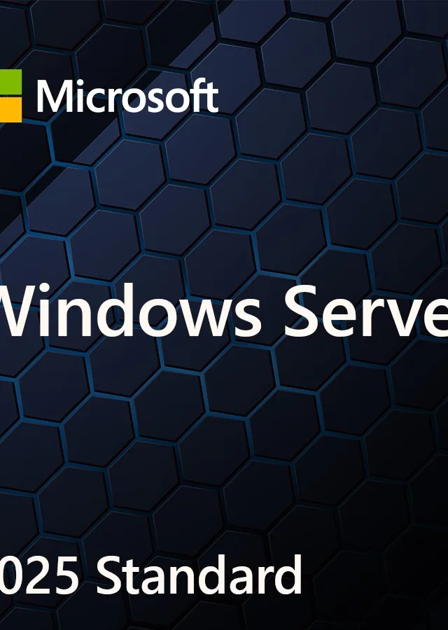 Microsoft Windows Server 2025 Standard 1 license(s)