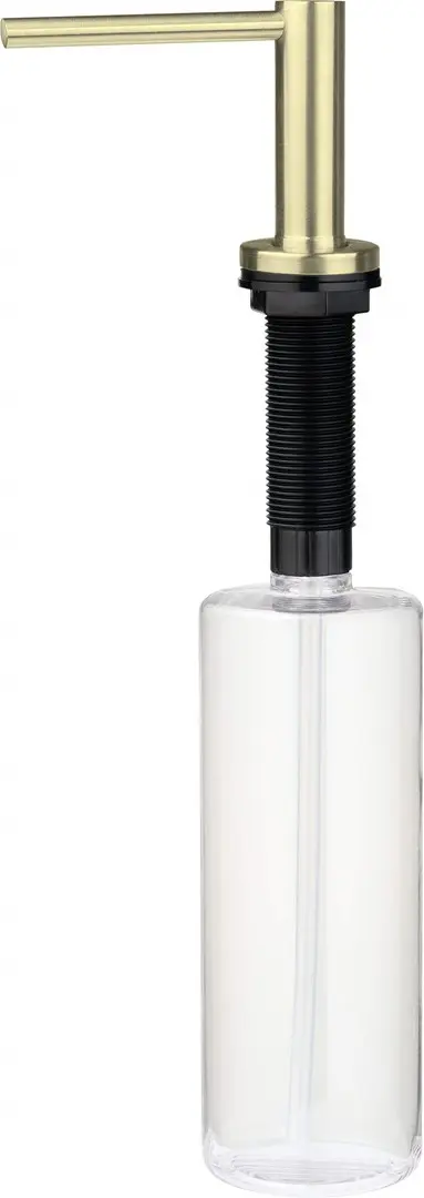 Dishwashing liquid dispenser