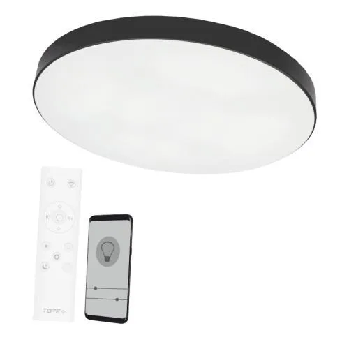 Ceiling Lamp Boston 2x48W D60RC LED Black