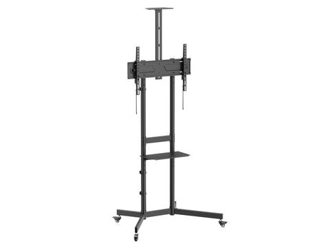 EQUIP 650636 Bodenstandhalter Min. 94 Cm (37") Max. 177,8 Cm (70") Max. VESA 600 X 400 Mm 70 Kg Black