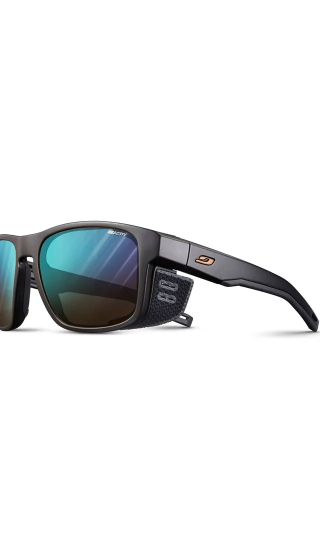 Glasses Julbo Shield M - matte black Reactiv Performance