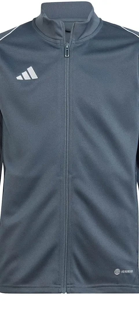 Sweatshirt for kids adidas Tiro 23 League Training gray HS3523 164cm