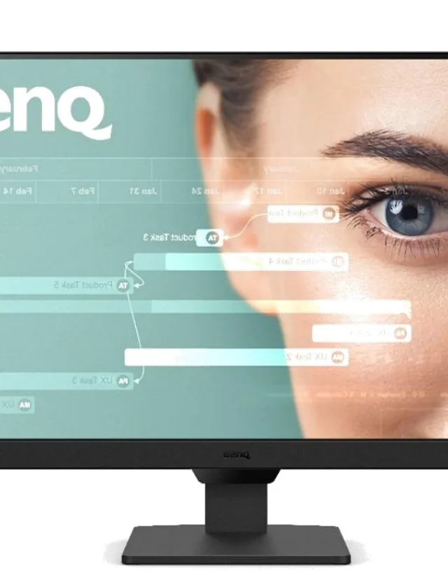 BenQ GW2490 computer monitor 60.5 cm (23.8") 1920 x 1080 pixels Full HD Black