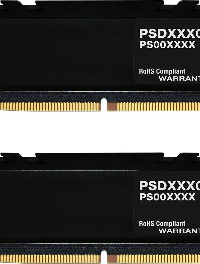 Patriot Memory Signature Line PSP532G5600KH1 memory module 32 GB 2 x 16 GB DDR5 288-pin DIMM