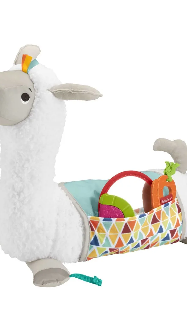 Fisher-Price GHJ03 learning toy
