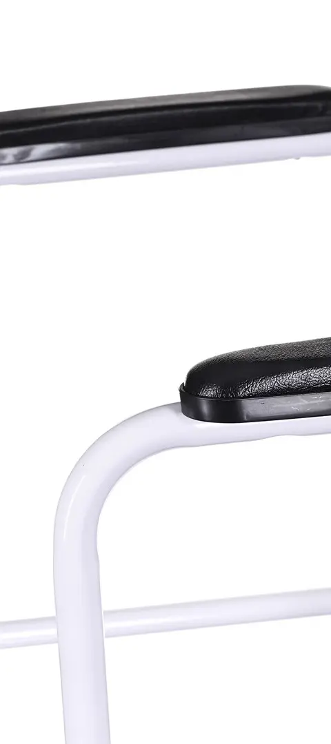 Support Rail For Standing Up From Toilet ACTIONMED